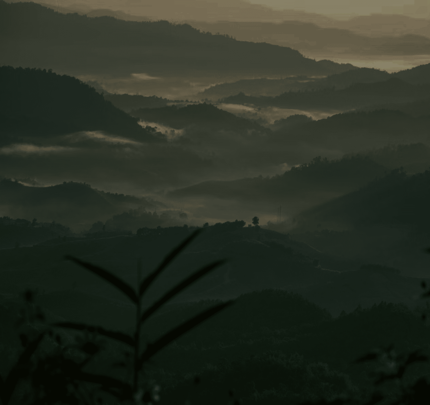Hills above the coast at dusk
